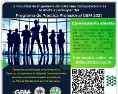 Programa Práctica Profesional GBM 2021